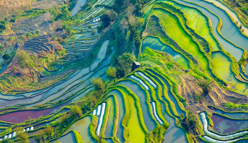 宝妈必备神器：覃塘区产品视频拍摄轻松育儿好帮手